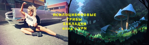 PSILOCYBIN Богородск