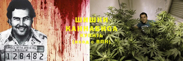 PSILOCYBIN Богородск