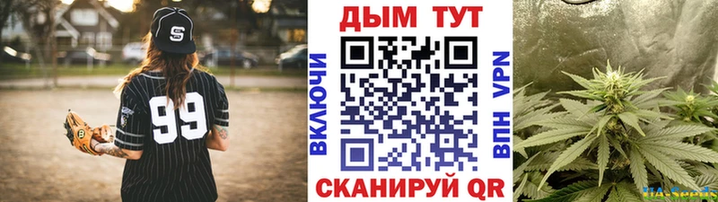 Канабис гибрид  Шлиссельбург 
